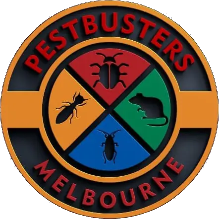 Spiderman Pest Control Canberra